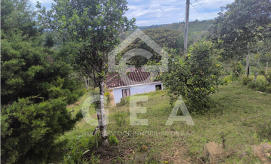 Venta de Finca en Timbío, Vereda el Guayabal
