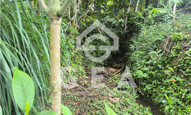 Venta de Finca en Timbío, Vereda el Guayabal