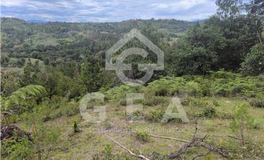 Venta de Finca en Timbío, Vereda el Guayabal