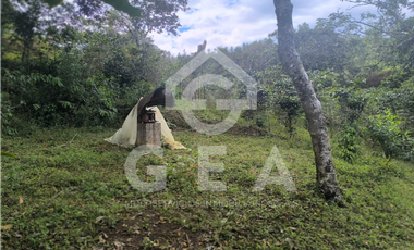 Venta de Finca en Timbío, Vereda el Guayabal