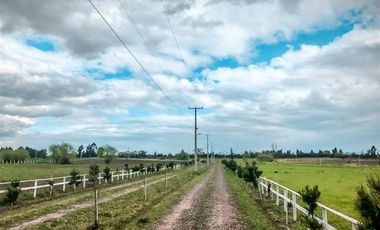 Parcela en Venta en Loteo Haras de Huilquilemu