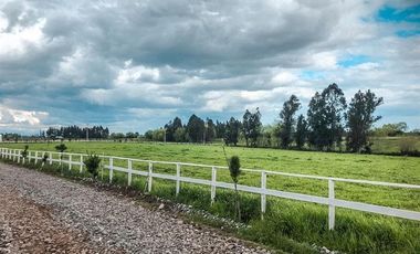 Parcela en Venta en Loteo Haras de Huilquilemu