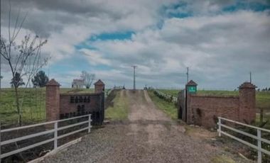 Parcela en Venta en Loteo Haras de Huilquilemu