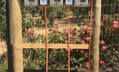 Sitio en Venta en Ruta G-60 N° 12517 Parcela N°44