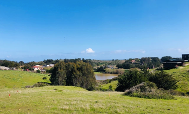 Sitio en Venta en Camino Viejo a Punta de Lobos