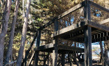 Sitio en Venta en Camino Viejo a Punta de Lobos