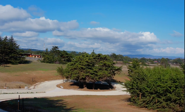 Sitio en Venta en Camino Viejo a Punta de Lobos
