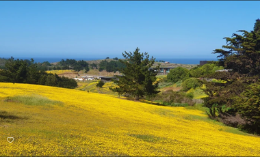 Sitio en Venta en Camino Viejo a Punta de Lobos