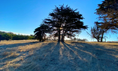 Sitio en Venta en Camino Viejo a Punta de Lobos