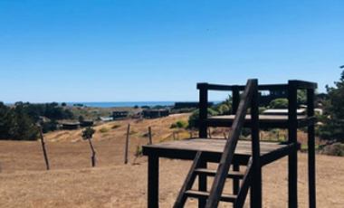 Sitio en Venta en Camino Viejo a Punta de Lobos