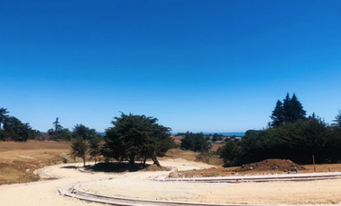 Sitio en Venta en Camino Viejo a Punta de Lobos