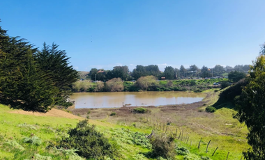 Sitio en Venta en Camino Viejo a Punta de Lobos
