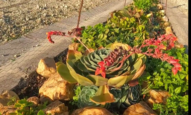 Sitio en Venta en Camino Viejo a Punta de Lobos