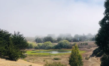 Sitio en Venta en Camino Viejo a Punta de Lobos