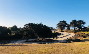 Sitio en Venta en Camino Viejo a Punta de Lobos