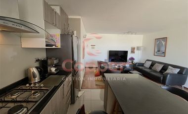 Departamento en Arriendo en Romulo J Peña