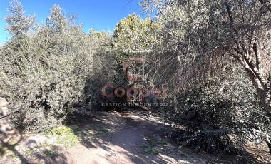 Casa en Arriendo en Entre Callejones Rafael Torreblanca y Ricardo Vallejos