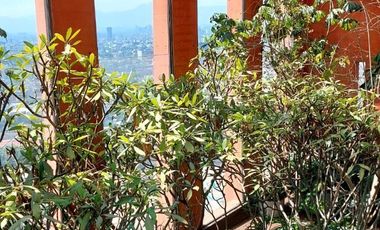 Departamento  en renta, en Reforma