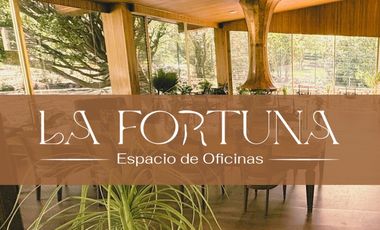 Renta de oficinas acondicionadas en Morillotla