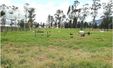 FINCA SE VENDE SOPO CUNDINAMARCA