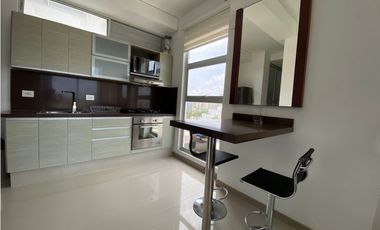 ARRIENDO APARTAESTUDIO EN ALTO PRADO