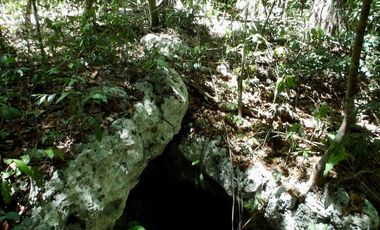 Terreno en Venta en Tulum – Zona Muyil