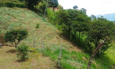 Venta De Finca En Santo Domingo, Porce -PARTNER-