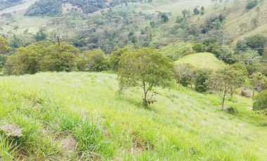 Venta De Finca En Santo Domingo, Porce -PARTNER-