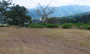 Venta De Finca En Santo Domingo, Porce -PARTNER-