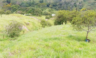 Venta De Finca En Santo Domingo, Porce -PARTNER-