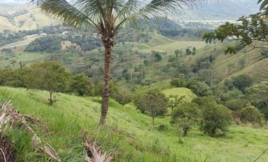 Venta De Finca En Santo Domingo, Porce -PARTNER-