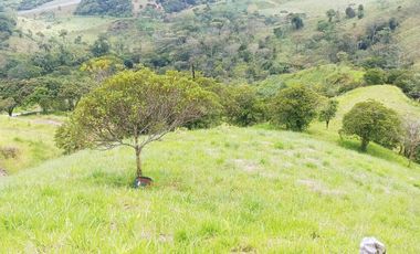 Venta De Finca En Santo Domingo, Porce -PARTNER-