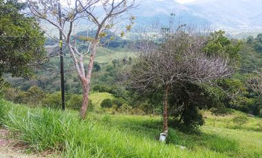 Venta De Finca En Santo Domingo, Porce -PARTNER-