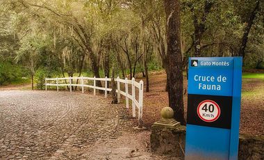 Lotes en Venta en Sauco Residencial