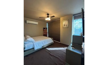 Alquiler de apartamento en PH Park Loft. VC