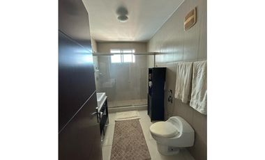 Alquiler de apartamento en PH Park Loft. VC