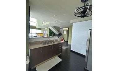 Alquiler de apartamento en PH Park Loft. VC