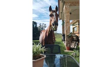 VENDO  CASA DE 1000M2 EN ALTO BOQUETE