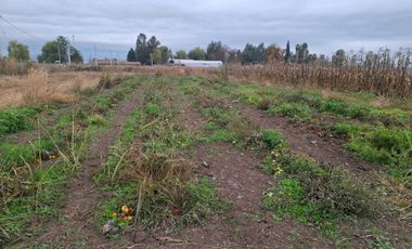 Parcela en venta en NANCAGUA