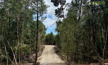 Agrícola en Venta en Camino a Pargua