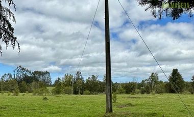 Agrícola en Venta en Camino a Pargua