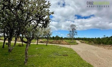 Agrícola en Venta en Camino a Pargua