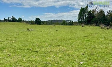 Agrícola en Venta en Camino a Pargua