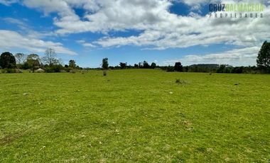 Agrícola en Venta en Camino a Pargua