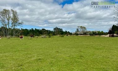 Agrícola en Venta en Camino a Pargua
