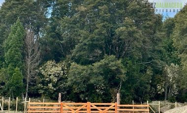 Agrícola en Venta en Camino a Pargua