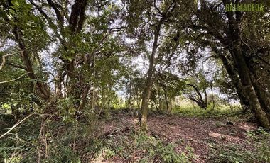 Casa en Venta en Calcurrupe bajo