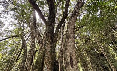 Casa en Venta en Calcurrupe bajo