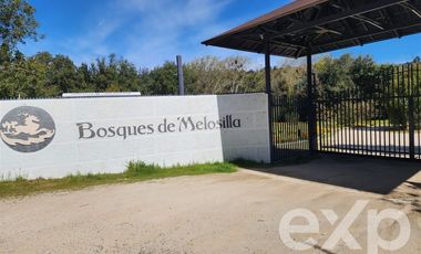 Parcela en Venta en Ex fundos las Tablas