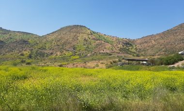 PARCELA CLUB DE POLO TALANQUÉN